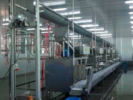 面筋卷生产流水线