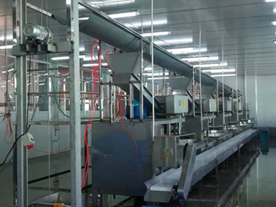 多工位全自动面筋成型机是什么